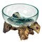 Hand Blown Molten Glass Bowl Terrariums on Driftwood Base – Decorative Planters